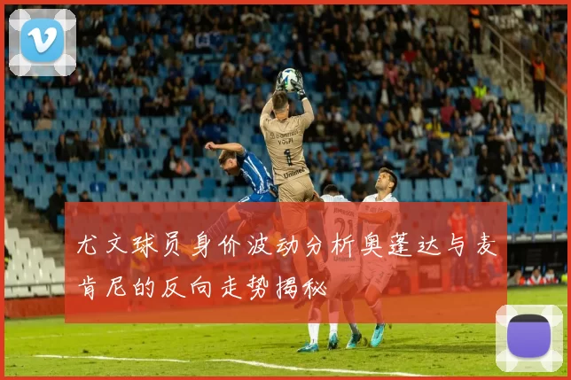 尤文球员身价波动分析奥蓬达与麦肯尼的反向走势揭秘