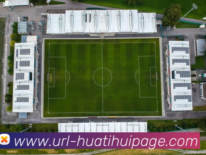 华体会体育平台生态图