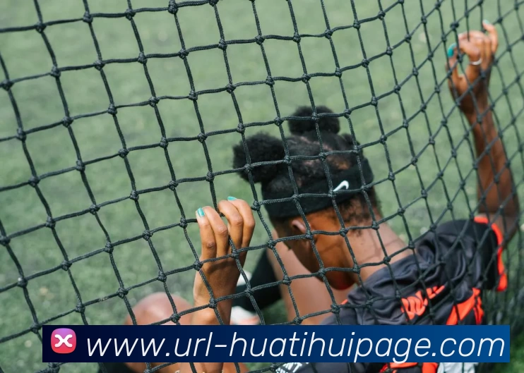 华体会体育APP 封面图